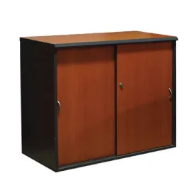 Acmi Low Cabinet with Swing Doors, Durable Design, 797 x 420 x 840 mm