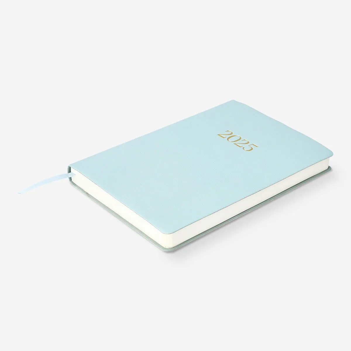 Blue Daily Diary - Spanish