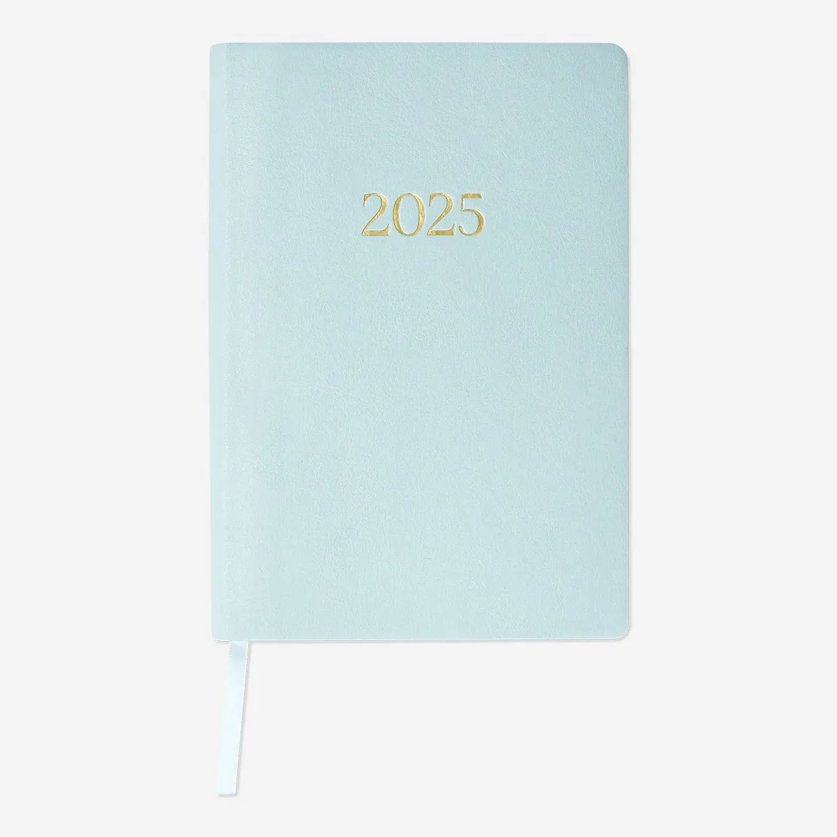 Blue Daily Diary - Spanish